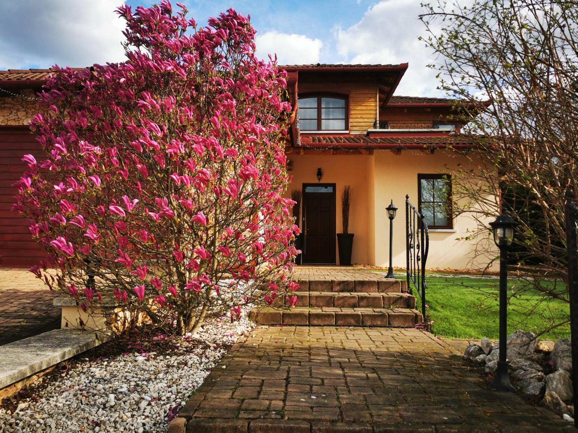 דירות Mogyoród Luxury Basement In The Surrounding Of Budapest מראה חיצוני תמונה